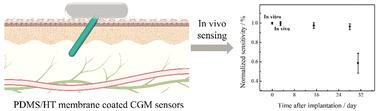 Improving the in vivo stability and sensor lifetime with new blend membranes on CGM sensors†