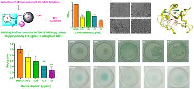 Discovery and evaluation of 3-(2-isocyanobenzyl)-1H-indole derivatives as potential quorum sensing inhibitors for the control of Pseudomonas aeruginosa infections in vitro†