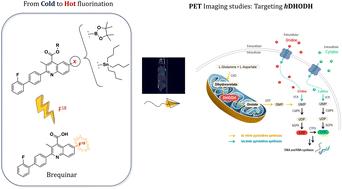 Radiosynthesis of [18F]brequinar for in vivo PET imaging of hDHODH for potential studies of acute myeloid leukemia and cancers†