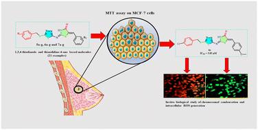 Synthesis and antiproliferative potency of 1,3,4-thiadiazole and 1,3-thiazolidine-4-one based new binary heterocyclic molecules: in vitro cell-based anticancer studies†