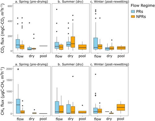 Carbon emissions from inland waters may be underestimated: Evidence from European river networks fragmented by drying