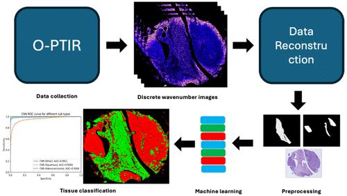 Cervical Cancer Tissue Analysis Using Photothermal Midinfrared Spectroscopic Imaging