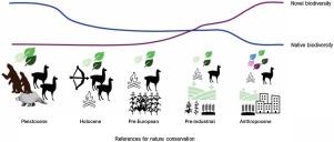 Past references are insufficient for Latin American biodiversity conservation in the Anthropocene