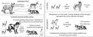 Olfactory repellents as perceptual traps for mesocarnivores immersed in livestock systems