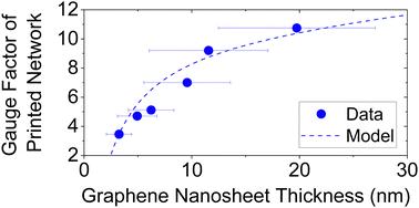 Quantifying the effect of nanosheet dimensions on the piezoresistive response of printed graphene nanosheet networks†