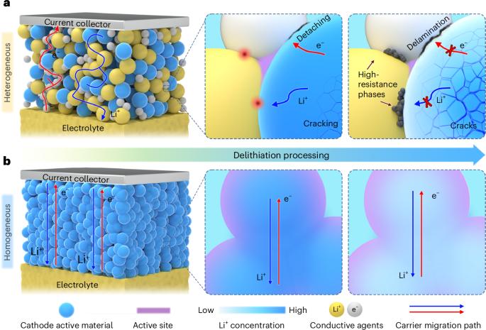 A cathode homogenization strategy for enabling long-cycle-life all-solid-state lithium batteries