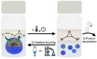 Biphasic phase-transfer catalysis: epoxidation of vegetable oils by surface active ionic liquids in water†