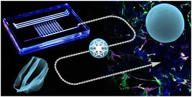 Scalable preparation of macroporous collagen microgels by air bubble-induced breakup and ice templating†