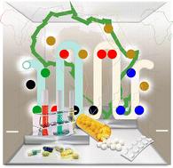 Towards continuous flow manufacturing of active pharmaceutical ingredients in Africa: a perspective