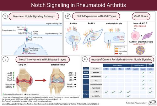 Another Notch in the Belt of Rheumatoid Arthritis