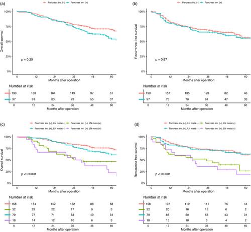 Clinical impact of pancreatic invasion in T1-stage distal bile duct cancer and prognostic factors associated with long-term survival: A multicenter study