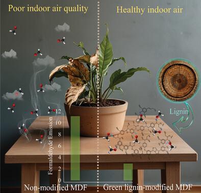 Advancing Sustainable Building Materials: Reducing Formaldehyde Emissions in Medium Density Fiber Boards with Lignin Nanoparticles