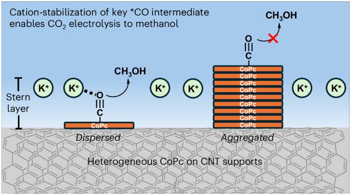 The solvation environment of molecularly dispersed cobalt phthalocyanine determines methanol selectivity during electrocatalytic CO2 reduction