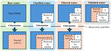 Formation of chlorinated disinfection by-products and fate of their precursors in individual processes of a conventional water treatment plant assessed using high-resolution mass spectrometry†