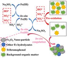 Combined oxidation and in situ coagulation in an iron-activated sulfite process for tribromophenol removal in an actual water matrix†