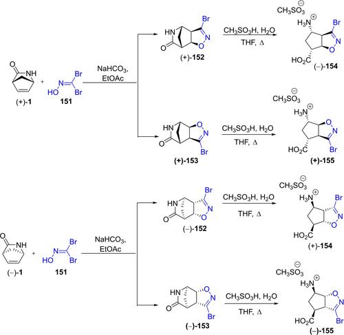 Application of 2-Azabicyclo[2.2.1]Hept-5-En-3-One (Vince Lactam) in Synthetic Organic and Medicinal Chemistry