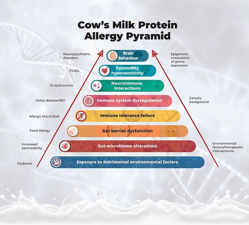 The journey toward disease modification in cow milk protein allergy