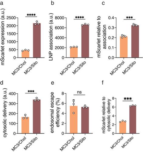 Beyond the Endosomal Bottleneck: Understanding the Efficiency of mRNA/LNP Delivery