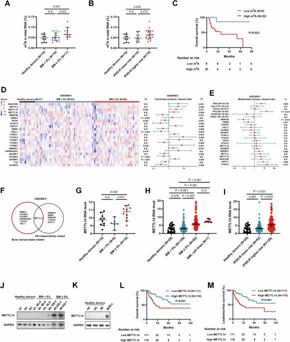 The m6A methyltransferase METTL14 promotes cell proliferation via SETBP1-mediated activation of PI3K-AKT signaling pathway in myelodysplastic neoplasms