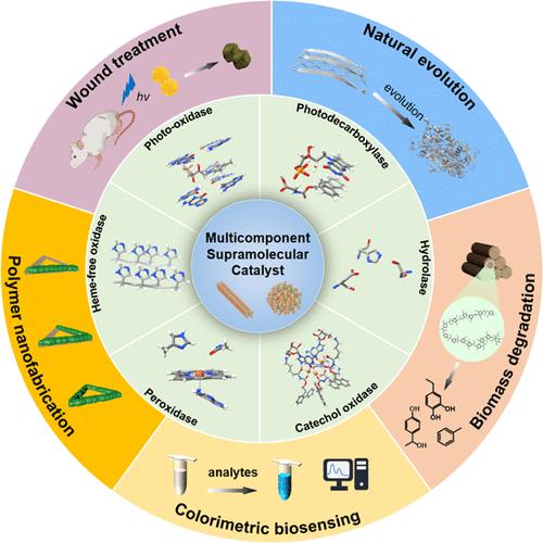 Self-Assembly of Multimolecular Components for Engineering Enzyme-Mimetic Materials