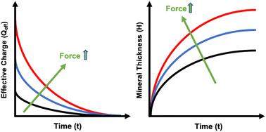 Self-limiting material growth triggered and tunable by force through piezocharge-induced mineralization†