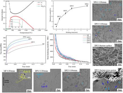 Mechanisms of Strengthening and Fracture in 17%Cr Martensite/Ferrite Dual-Phase Stainless Steels