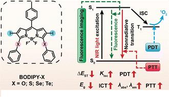 Chalcogen modification: one-step strategy for tuning the photophysical properties and NIR phototherapy of iodinated BODIPY†