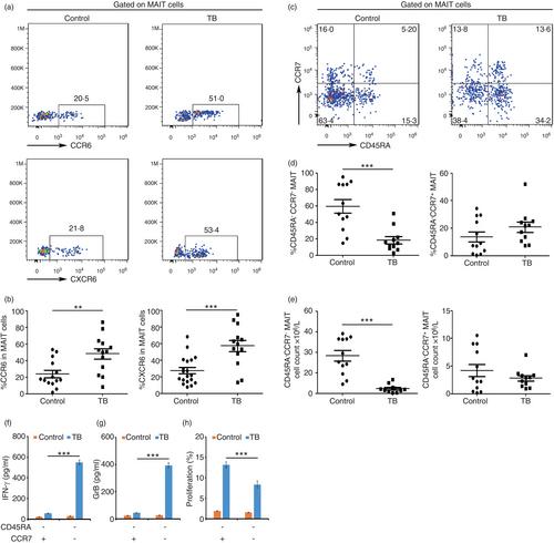 Peripheral blood MR1 tetramer-positive mucosal-associated invariant T-cell function is modulated by mammalian target of rapamycin complex 1 in patients with active tuberculosis