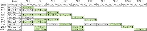 A single gene determines allorecognition in hydrozoan jellyfish Cladonema radiatum inbred lines