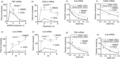 Hydroxychloroquine attenuates double-stranded RNA-stimulated hyper-phosphorylation of tristetraprolin/ZFP36 and AU-rich mRNA stabilization