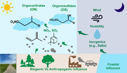 Chemical Insights into the Molecular Composition of Organic Aerosols in the Urban Region of Houston, Texas