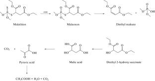 Photodegradation of Organophosphorus Pesticides on Magnetically Recyclable Core-Shell Nanocatalyst