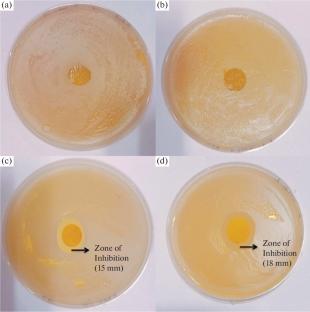 Carboxymethyl Guar Gum-Based Bioactive and Biodegradable Film for Food Packaging