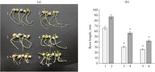 Use of the Pseudomonas sp. OBA 2.4.1 Strain for Presowing Treatment of Pea Seeds (Pisum Sativum L.) in the Presence of Heavy Metals and Glyphosate