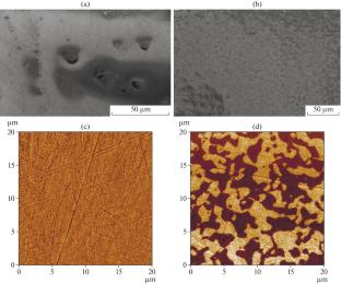 Influence of the Domain Structure of LaBGeO5 Polar Crystals on Their Gyrotropic Properties