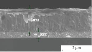 Two-Dimensional Pyroelectric Material with Heat-Transfer Modulation