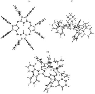 Reactivity of Octa(2,6-fluorophenyl)porphyrazine in Acid–Base Reactions with Nitrogenous Organic Bases