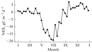 Estimates of Carbon Dioxide Flux into the Forest Ecosystem Based on Results of Ground-Based Hyperspectral Sounding of the Atmosphere and an Artificial Neural Network Model