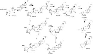 Chemical composition combined with network pharmacology and quality markers analysis for the quality evaluation of Qing-fei-da-yuan granules