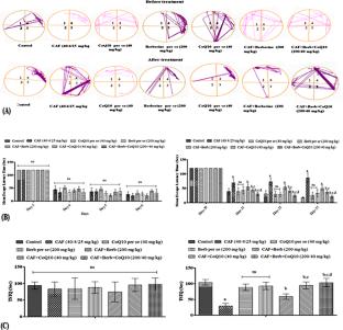 In-vitro and in-vivo studies of two-drug cocktail therapy targeting chemobrain via the Nrf2/NF-κB signaling pathway