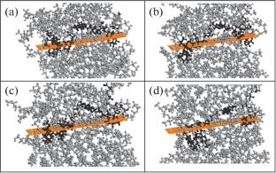 Molecular Mechanisms of Polyoxymethylene Wear