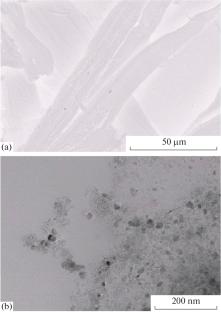 Synthesis, Structure, and Catalytic Properties of Nanocomposites Based on Palladium, Copper(I) Oxide, and Magnetite Nanoparticles Embedded in a Nanocellulose Matrix