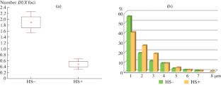 Homeotic DUX4 Genes Shape Dynamic Inter-Chromosomal Contacts with Nucleoli in Human Cells