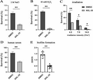 KKL-35 inhibits growth of Staphylococcus aureus by systematically changing bacterial phenotypes