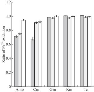 Biochemical Characterization and Electrochemical Cultivation of Halotolerant Autotrophic Iron-Oxidizing Bacteria Isolated from Electroplating Wastewater Sludge in Japan