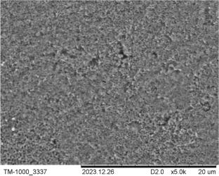 Linear and Nonlinear Dielectric Properties of Ceramics Obtained from Barium Titanate Nanopowder