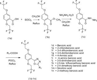 Synthesis of novel oxadiazole derivatives: DFT calculations, molecular docking studies, and in vitro, in vivo evaluation of antidiabetic activity using Drosophila melanogaster model