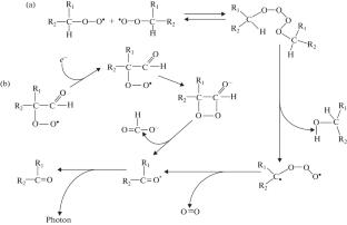 Chlorophyllin Inhibits Lipid Peroxidation Triggered by the Fenton Reaction