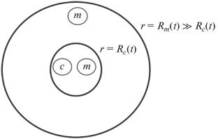 Three-Dimensional Continuum Model of Lumen Formation in a Cluster of Cells Immersed in an Extracellular Matrix: The Role of Mechanical Factors