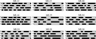 Gait Characteristics and Adaptation Strategies of Ants with Missing Legs